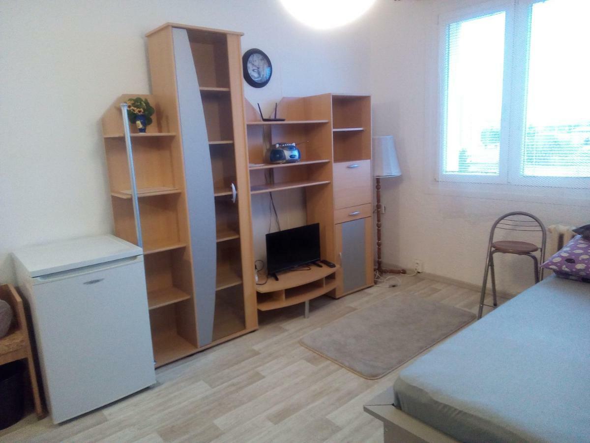 Studio Type Apartment เปิลเซน ภายนอก รูปภาพ